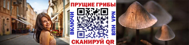 blacksprut   Ардон  Псилоцибиновые грибы мухоморы 